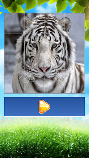 【免費解謎App】Animals World Jigsaw Puzzle-APP點子