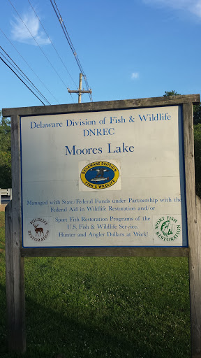 Moores Lake