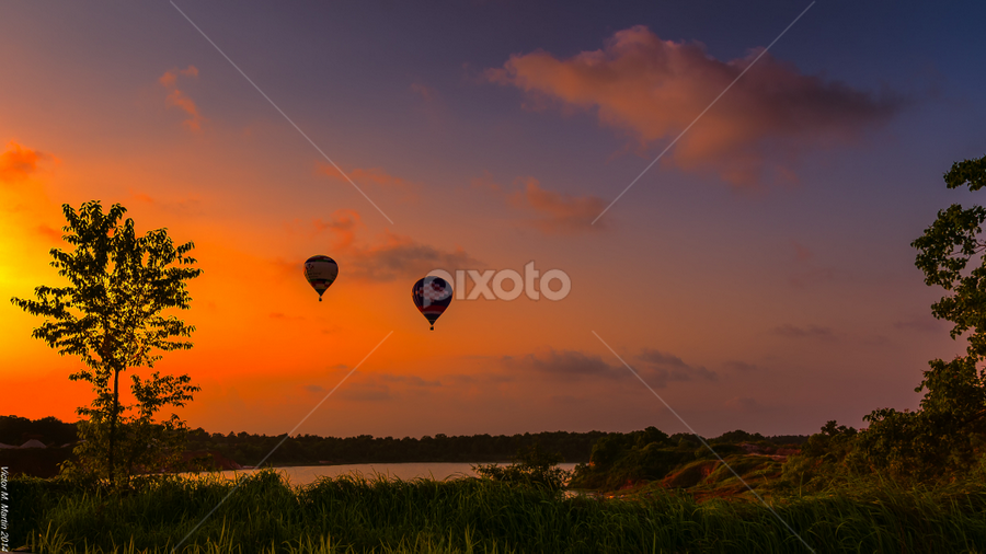 Gulf Coast Hot Air Balloon Festival by Victor Martin - Transportation Other