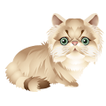 Cat Kind（Free） Apk