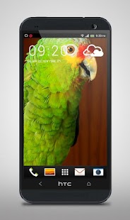 How to install Green Parrot Live Wallpaper lastet apk for laptop