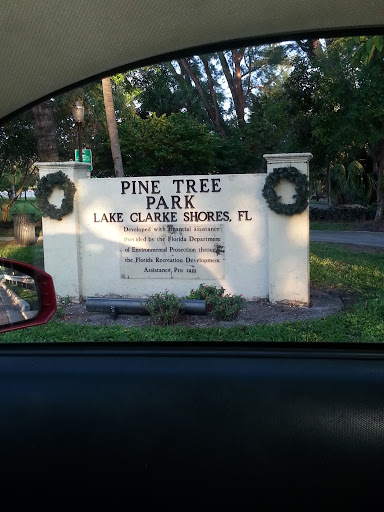 Pine Tree Park