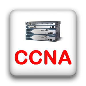 CCNA Quiz 1.3