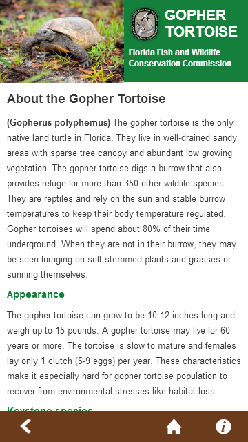    Florida Gopher Tortoise- screenshot  
