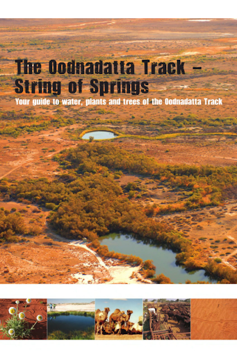 Oodnadatta Outback Track Guide