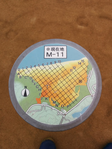 鳥取砂丘 M-11