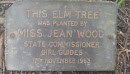Girl Guides 1963 Elm Tree