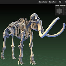 100 Epic Best 3d プリンター データ 無料 フィギュア 自分に