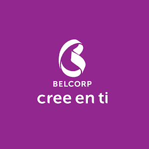 Consultoras BO v2 2.03