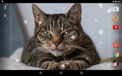 Angry Cat Live Wallpaper Screenshots 5