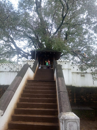Wel Bodhiya Temple