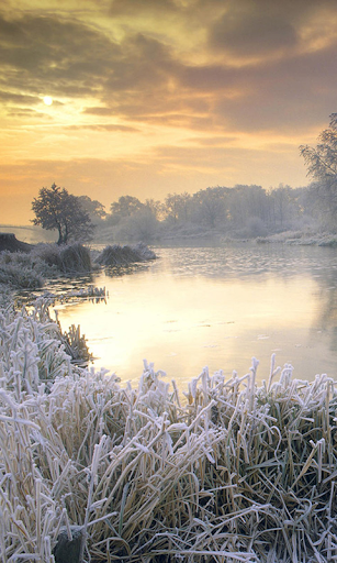 Frozen River at rain Wallpaper