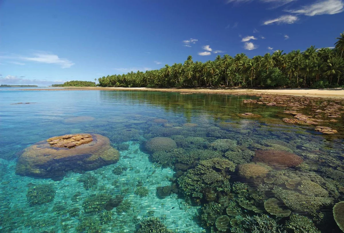 Marshall-Islands-coral-bed - Go snorkeling in the crystal clear waters of the Marshall Islands when you sail with Silver Discoverer to Micronesia.