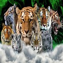 Tiger 001 logo