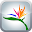 Joyful CC Download on Windows