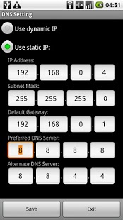 DNS Setting