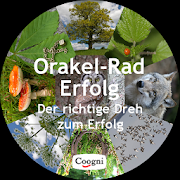 Orakel-Rad Erfolg