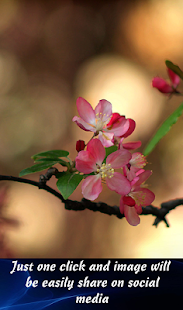 download Photo Bokeh Effect free