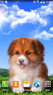 Puppy Wallpaper(圖1)-速報App