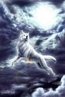 Wolf HD Wallpapers FREE Screenshots 21