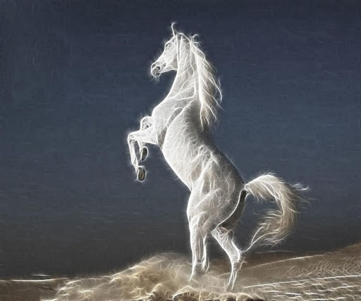 Horse Wallpapers