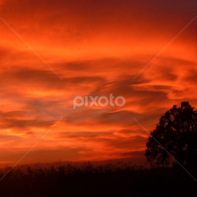 Sunset Rhapsody by Aleksandra Ivanković Mazzuka  - Landscapes Sunsets & Sunrises