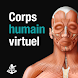 Corps humain virtuel