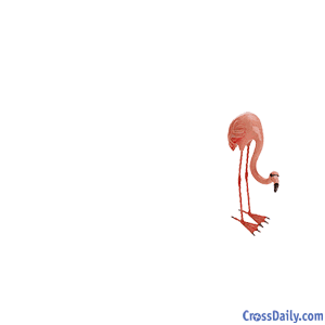 [flamingo birthday[3].png]
