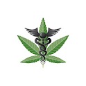 Medicinal Marijuana Cookbook.