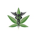 Medicinal Marijuana Cookbook. logo