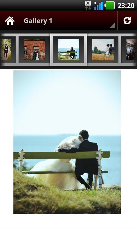 Wedding Posing Guide FULL Screen 3