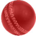 Android Cricket Scorer logo