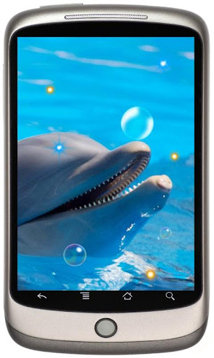 Dolphines Beach live wallpaper