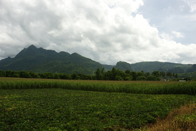 [DSC013187.jpg]