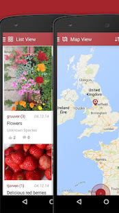 Wild Berries and Herbs 2 LITE(圖7)-速報App