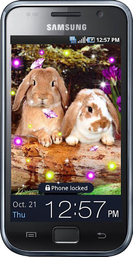 Rabbits Joke live wallpaper