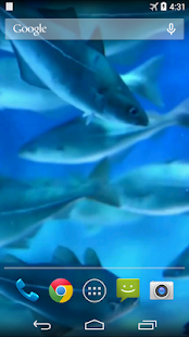 Aquarium Video Live Wallpaper(圖1)-速報App