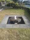Reflection Water Feature