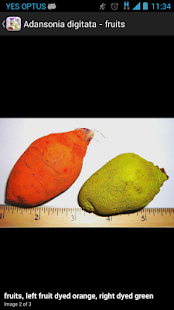 Dried Botanicals Key(圖5)-速報App