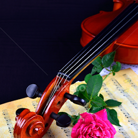 Violin sheet music and rose black composition still life music by Shahril Khmd - Artistic Objects Musical Instruments