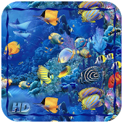 Aquarium HD Wallpaper  Icon