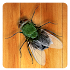 Kill The Fly1.0