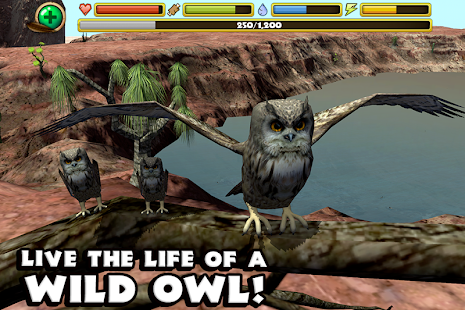 Owl Simulator(圖1)-速報App
