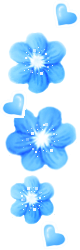 9c.GIF