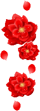 3c.GIF