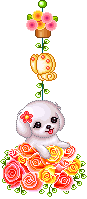 066.gif