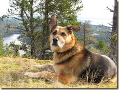 October up Scout 032