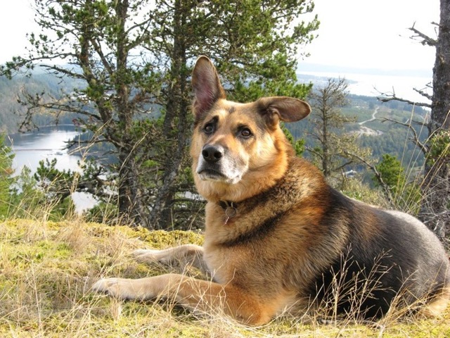 [October up Scout 032[4].jpg]