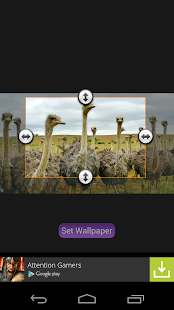 Animals Wallpapers(圖4)-速報App