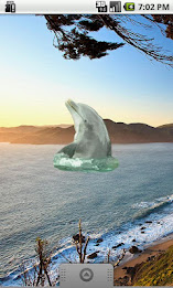 Dolphin Sticker poster 1